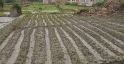 Land  for sale at Bhaktapur