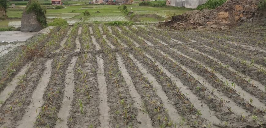 Land  for sale at Bhaktapur